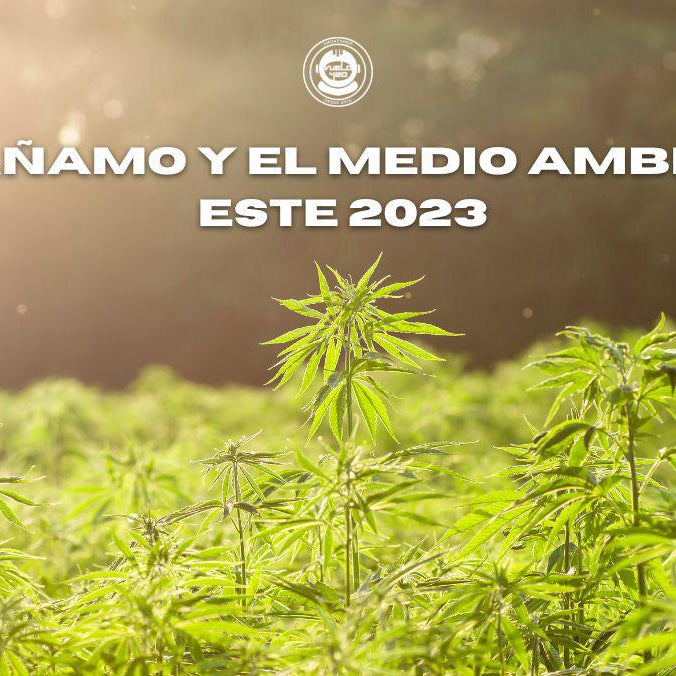 El Medio Ambiente y el Cannabis en el 2023