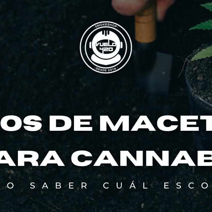 ¿Cuál es la Maceta Perfecta para mis Plantas de Cannabis? Te Explicamos