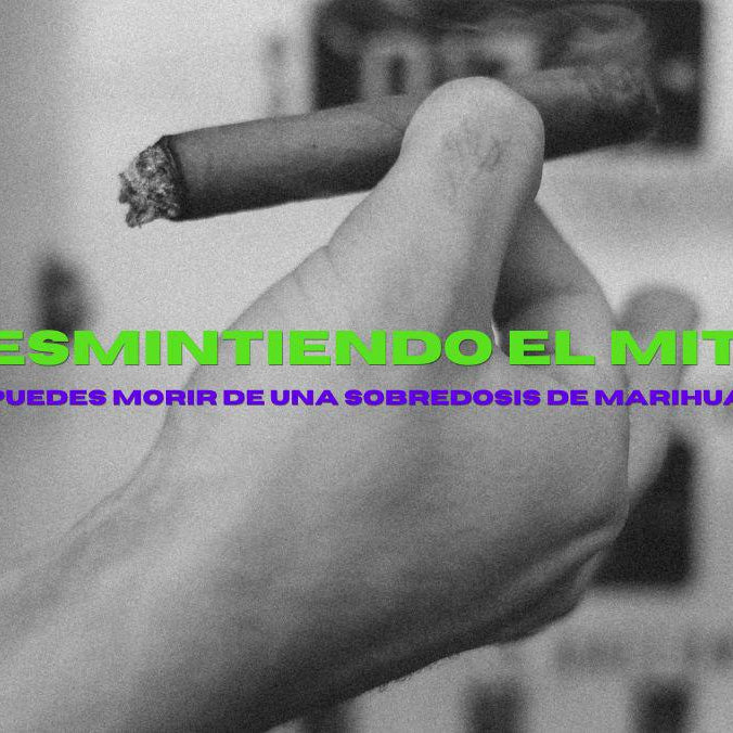 Mitos de la Marihuana. Descubre la verdad detrás del consumo responsable.