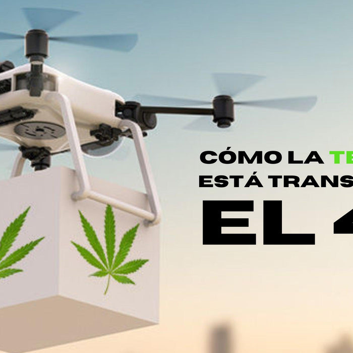 Cómo la Tecnología está Transformando el 420