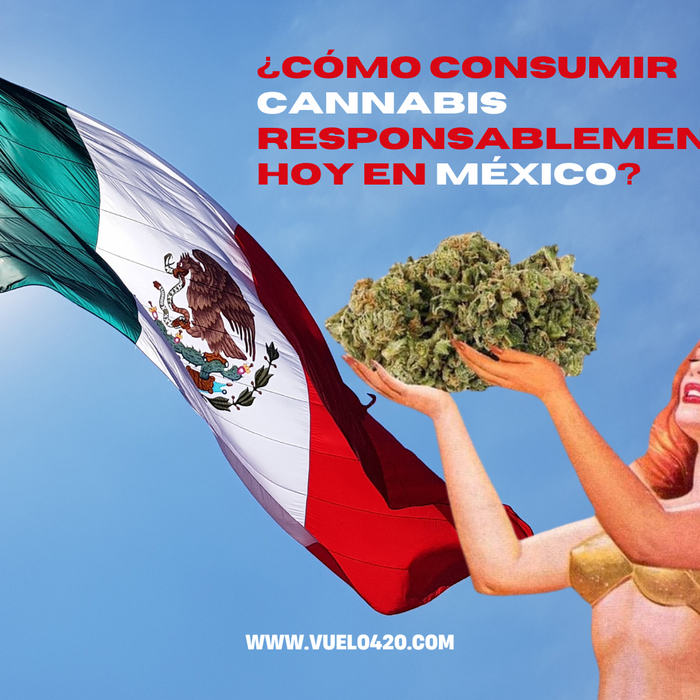Cannabis en México 2025: lo que nadie te explica (pero deberías saber antes de prender)