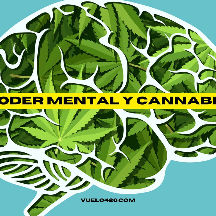El Poder Mental del Cannabis: Cómo Puede Ayudar a Reducir la Ansiedad, Mejorar el Estado de Ánimo y Estimular la Creatividad
