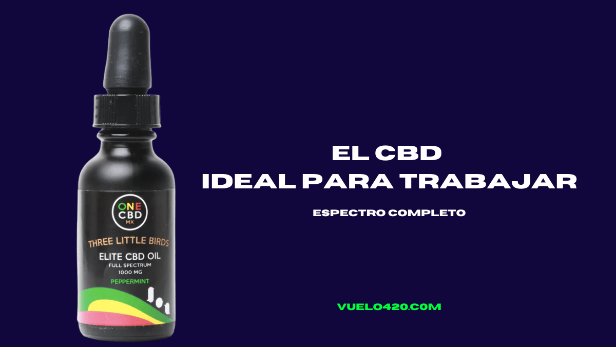 El CBD ideal para el estres laboral