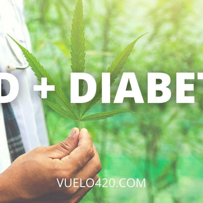 ¿Se puede usar CBD como tratamiento para la diabetes?- Vuelo 420 Smoke Shop Mexico Monterrey