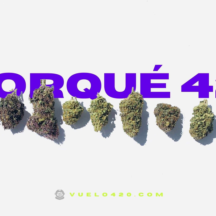 ¿Cómo inició el 420?- Vuelo 420 Smoke Shop Mexico Monterrey