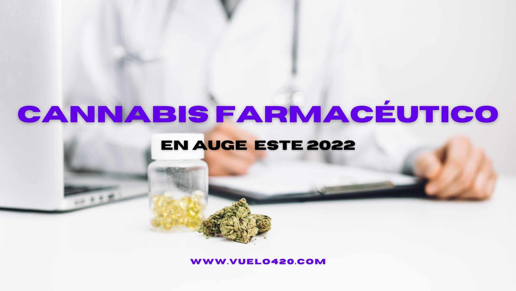 Cannabis Farmacéutico en auge este 2022