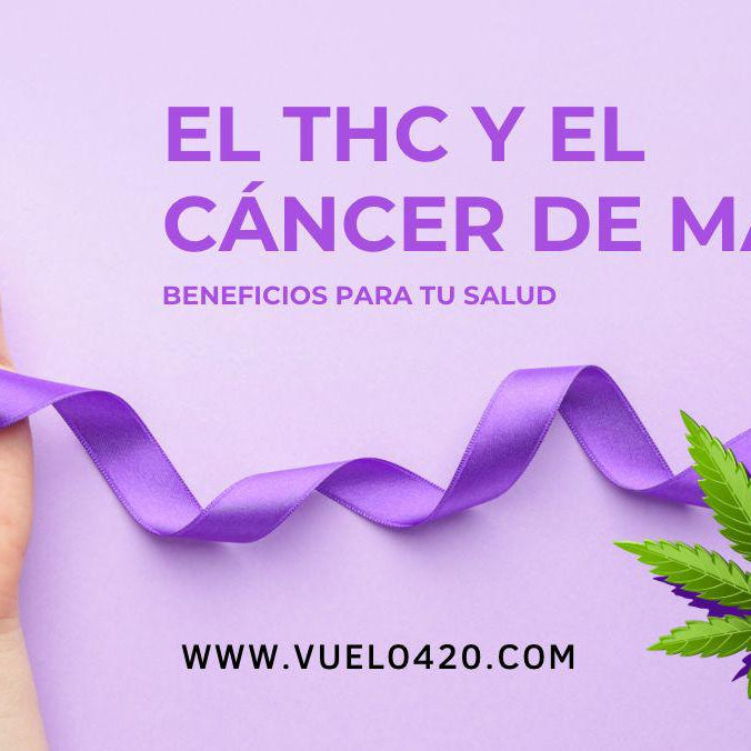 El THC y el Cáncer de Mama - Beneficios para tu salud