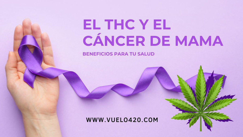 El THC y el Cáncer de Mama - Beneficios para tu salud