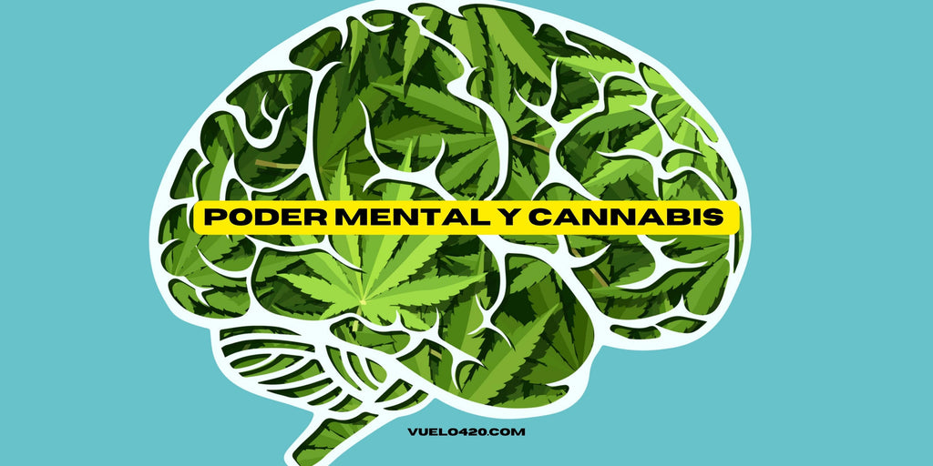 El Poder Mental del Cannabis: Cómo Puede Ayudar a Reducir la Ansiedad, Mejorar el Estado de Ánimo y Estimular la Creatividad