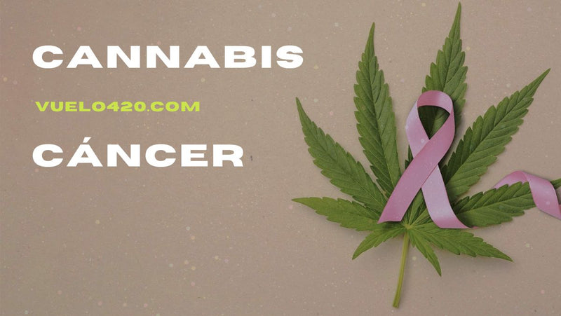 Impacto Positivo del Cannabis en el Cáncer.