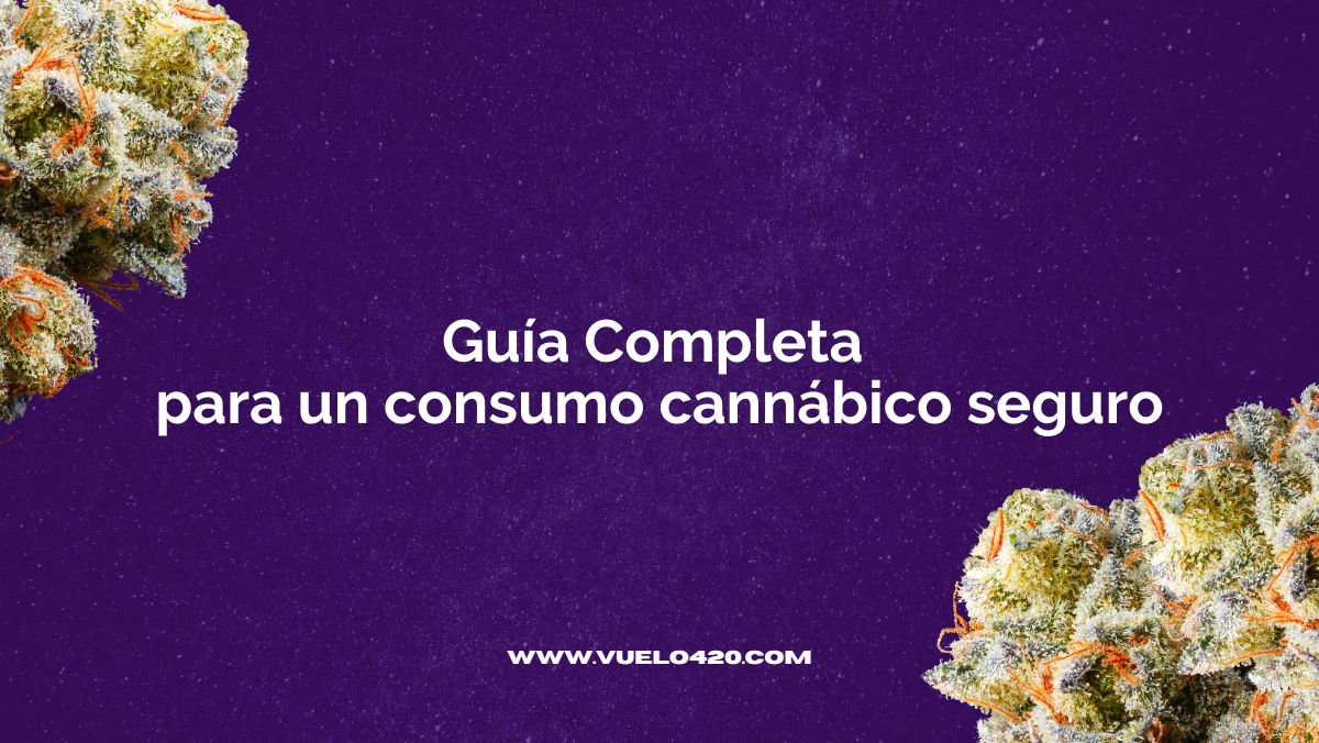 Resistencia al Cannabis: Guía Completa para un consumo Seguro