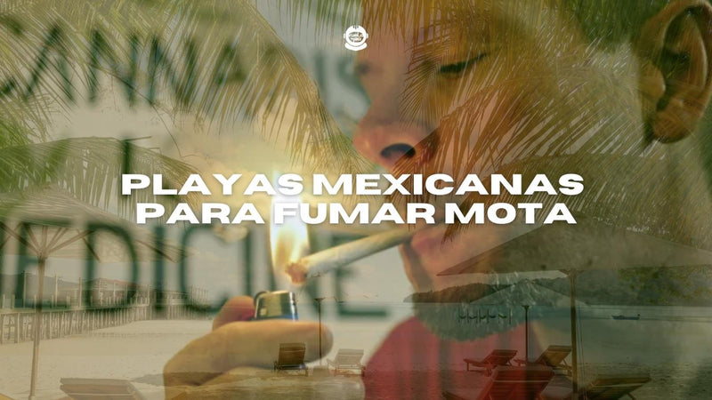 Playas para fumar cannabis en México