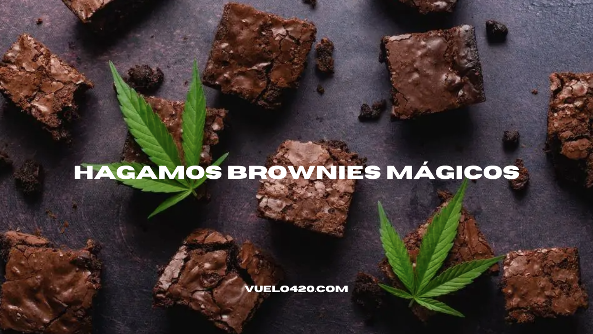 ¿Cómo hacer brownies cannábicos?