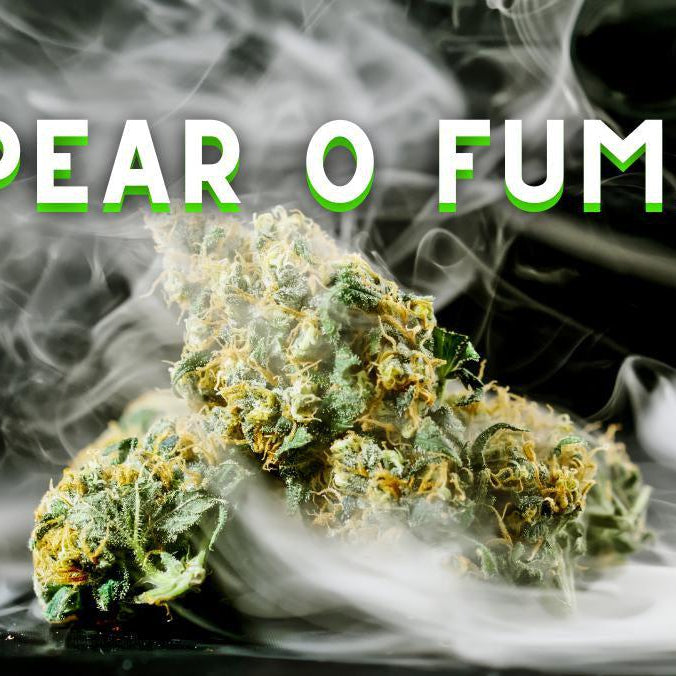 ¿ES MEJOR VAPEAR O FUMAR MARIHUANA? TODO LO QUE NECESITAS SABER- Vuelo 420 Smoke Shop Mexico Monterrey