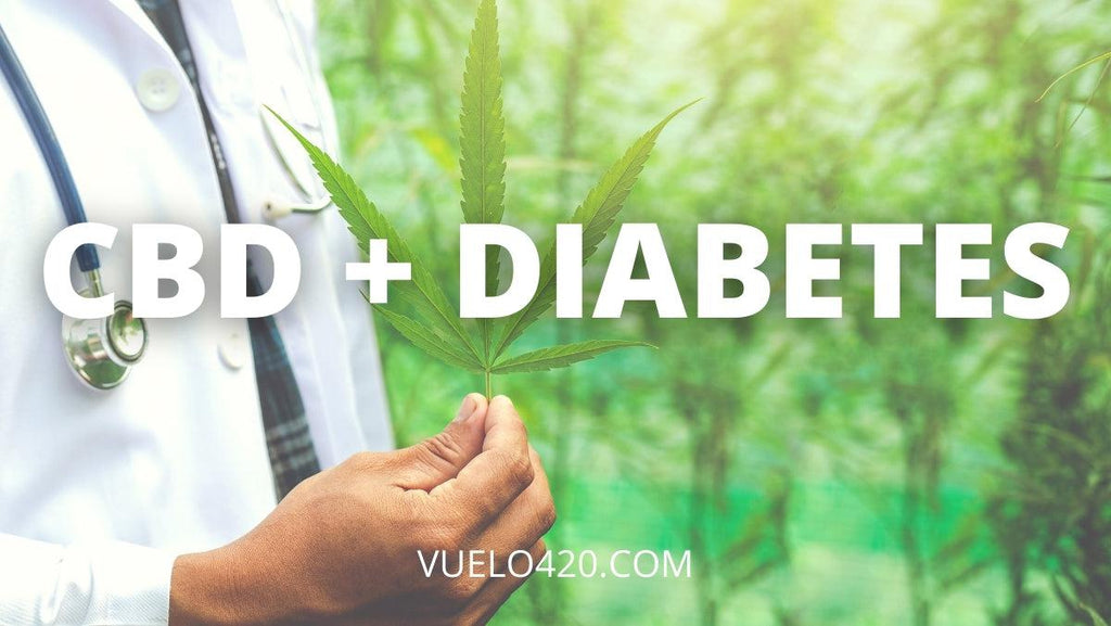 ¿Se puede usar CBD como tratamiento para la diabetes?