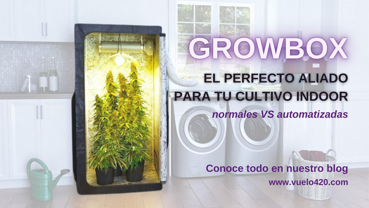 ¿Qué es una GROWBOX?- Vuelo 420 Smoke Shop Mexico Monterrey