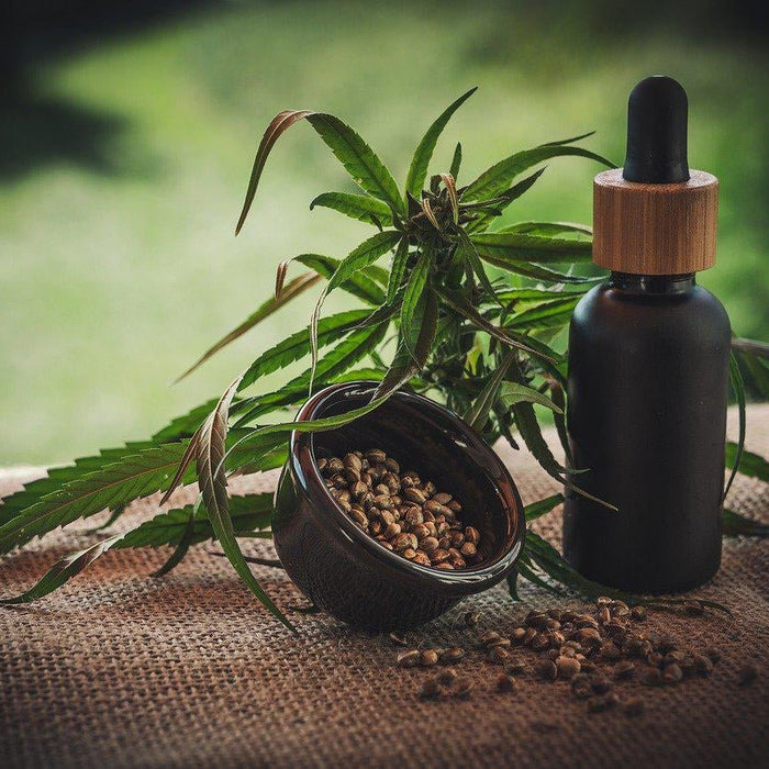 DIFERENCIAS ENTRE CBD AISLADO Y CBD AMPLIO ESPECTRO- Vuelo 420 Smoke Shop Mexico Monterrey