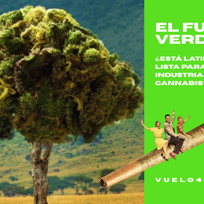 🌍 El futuro verde: ¿Está Latinoamérica lista para liderar la industria del cannabis?
