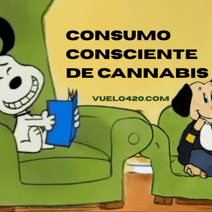 Consumo consciente de cannabis en enero: reset sin excesos
