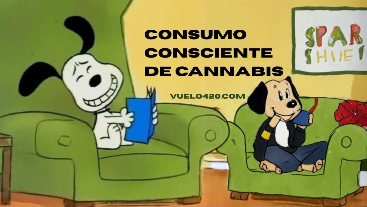 Consumo consciente de cannabis en enero: reset sin excesos