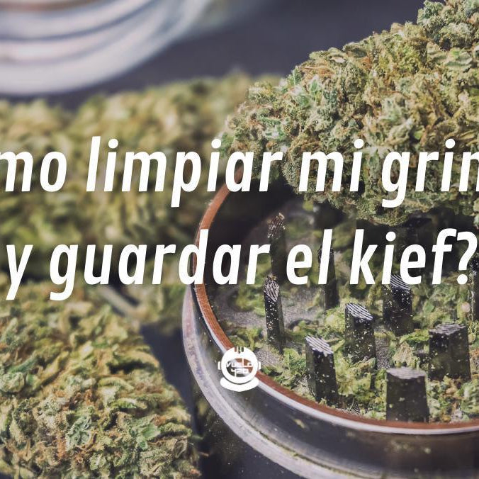 Como limpiar tu grinder y salvar tu kief ¡Fácil y Rápido!- Vuelo 420 Smoke Shop Mexico Monterrey