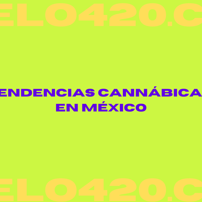 Tendencias Cannabicas en México