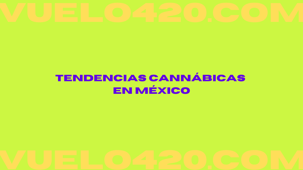 Tendencias Cannabicas en México